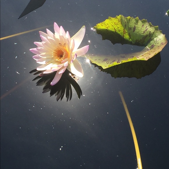 Meet your Posher, GJ - Picture 2 of 2